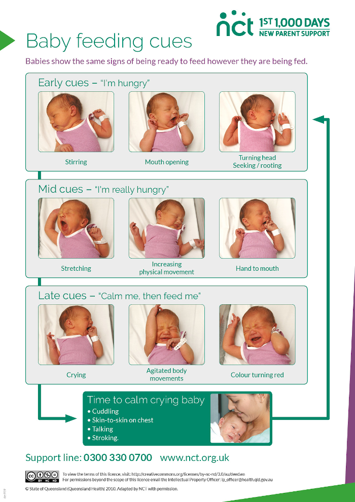 Baby feeding cues in pictures