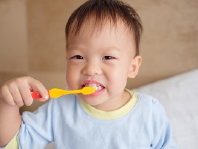 Baby brushing shop