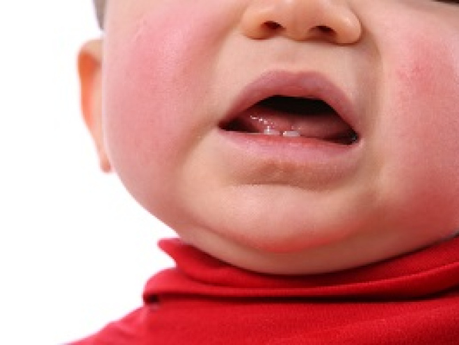 Early teething store in babies